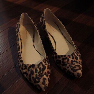 Women's - Franco Sarto Halissa Leopard Pointed Toe Flats, Size 7